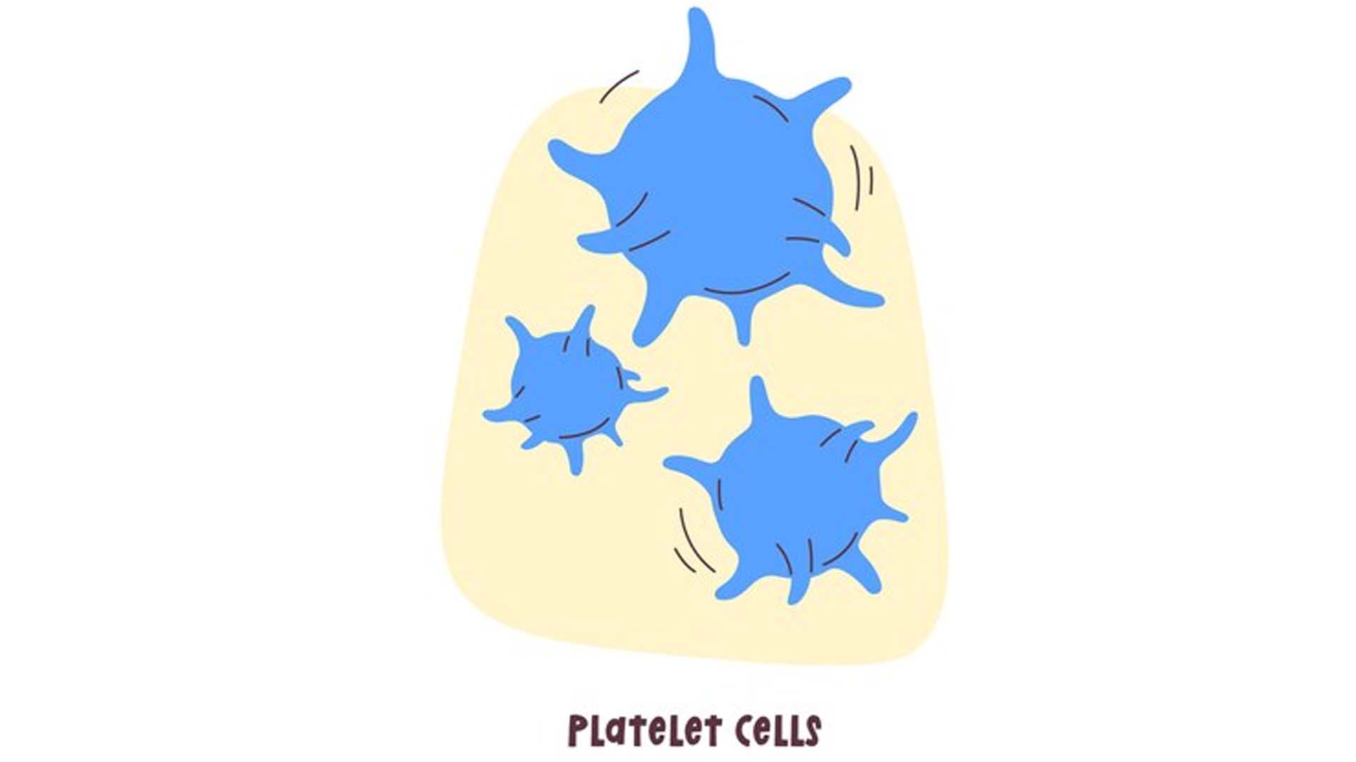 Platelet cells
